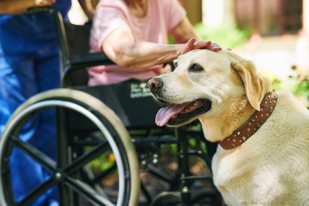 Dominion of Hixson | Seniors petting therapy dog at memory care facility
